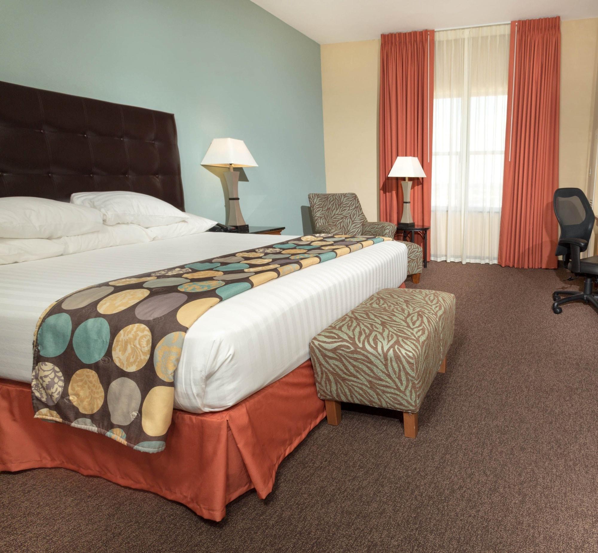 Drury Plaza Hotel San Antonio North Stone Oak Zewnętrze zdjęcie